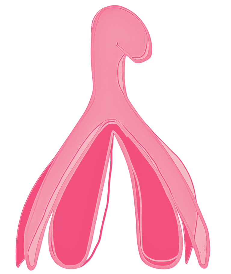 clitoris