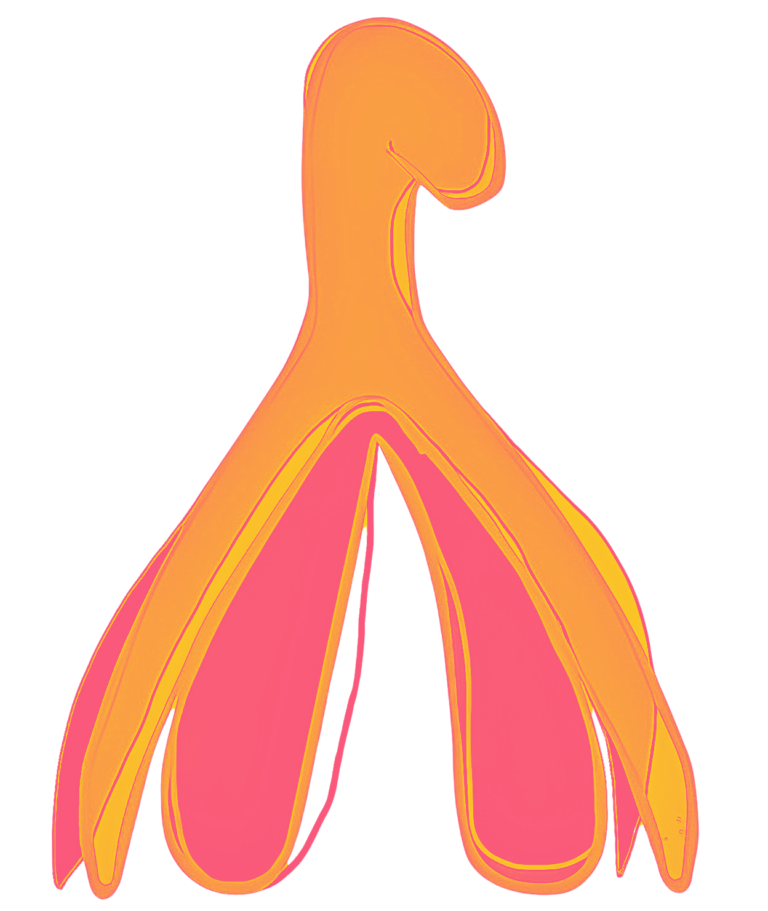 Anatomie du clitoris : comprendre sa structure pour mieux ressentir