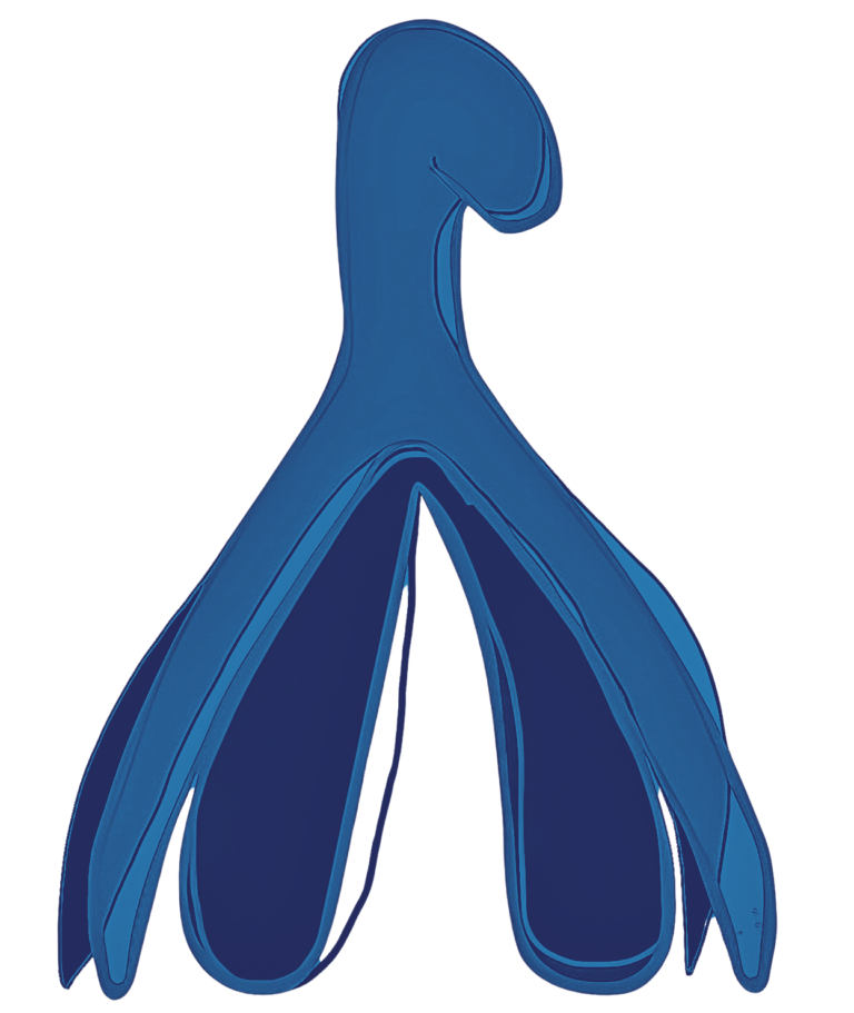 Le clitoris : tout ce que tu veux savoir (et qu&rsquo;on ne t&rsquo;a jamais expliqué)