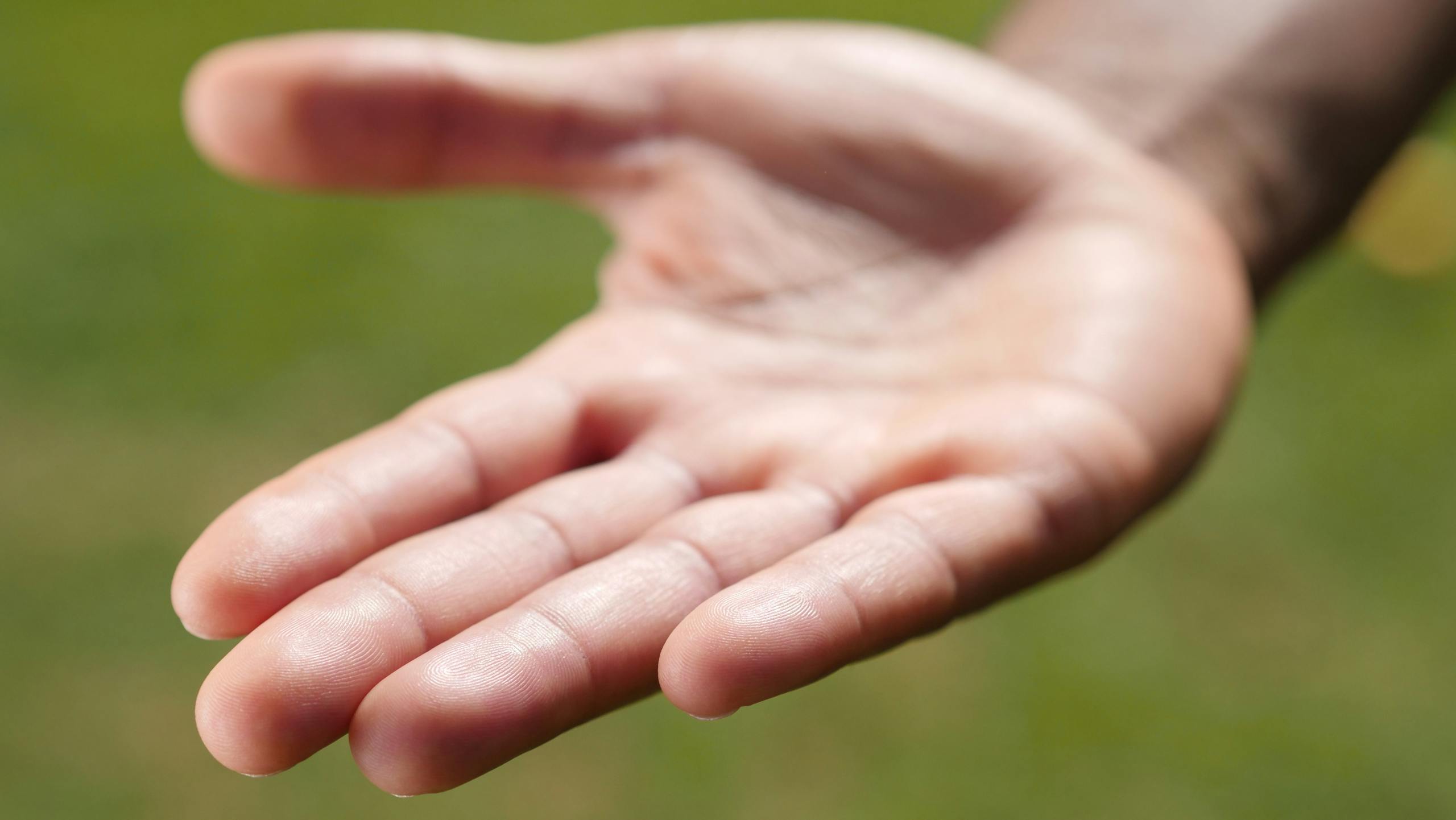 Detailed view of an open hand reaching out against a blurred natural background.