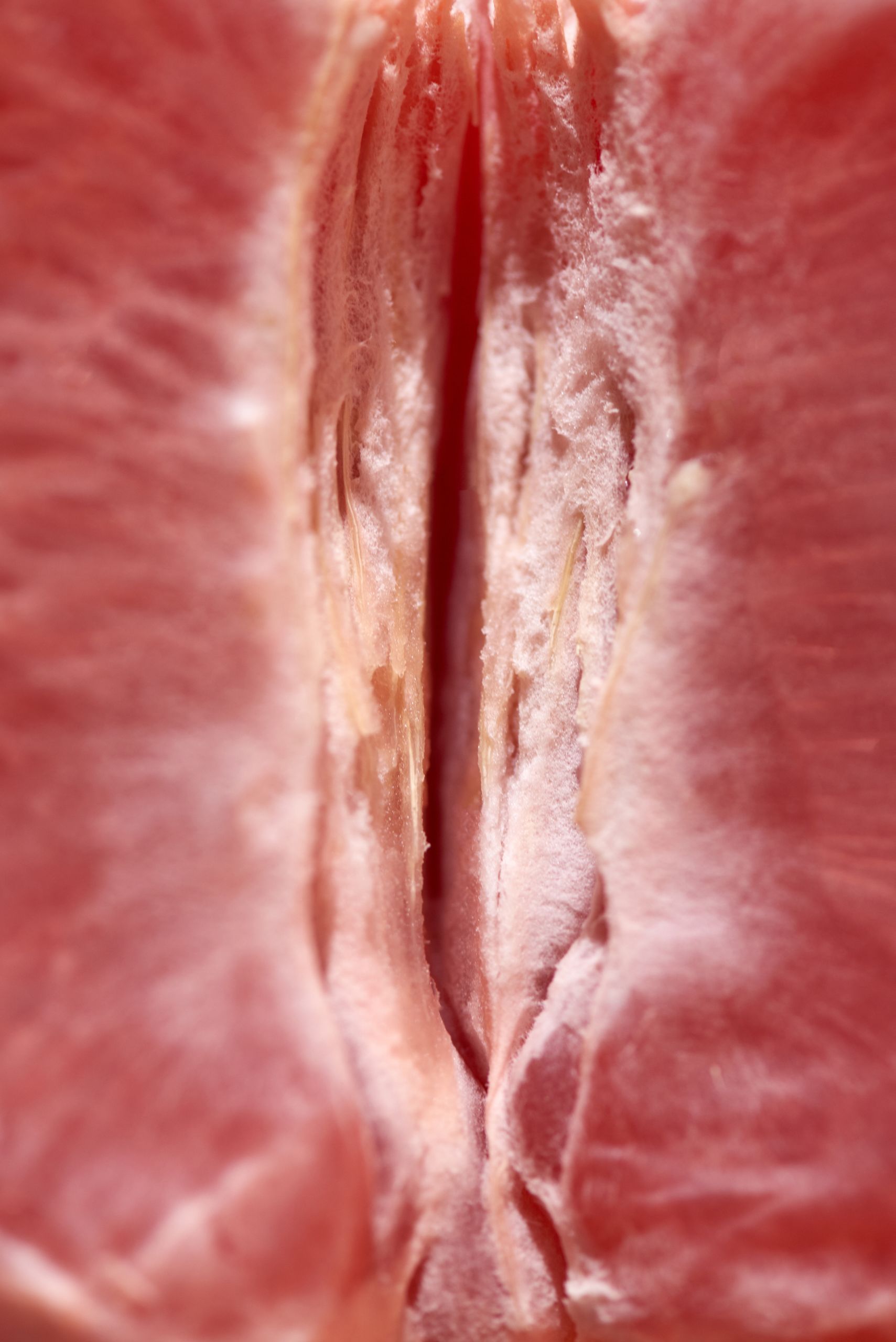 Detailed close-up of a freshly peeled grapefruit section in vertical format.